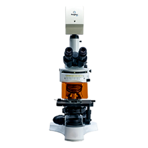 Fluorescence Microscope RFM-4